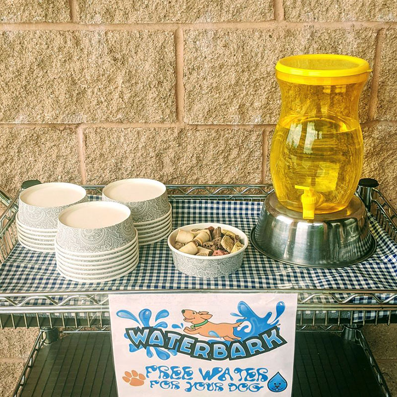 Veterinarian Appreciation COVID19 Essential Workers